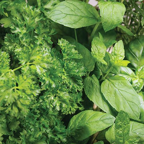 Mixed Herbs